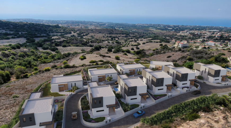 section catalog photo